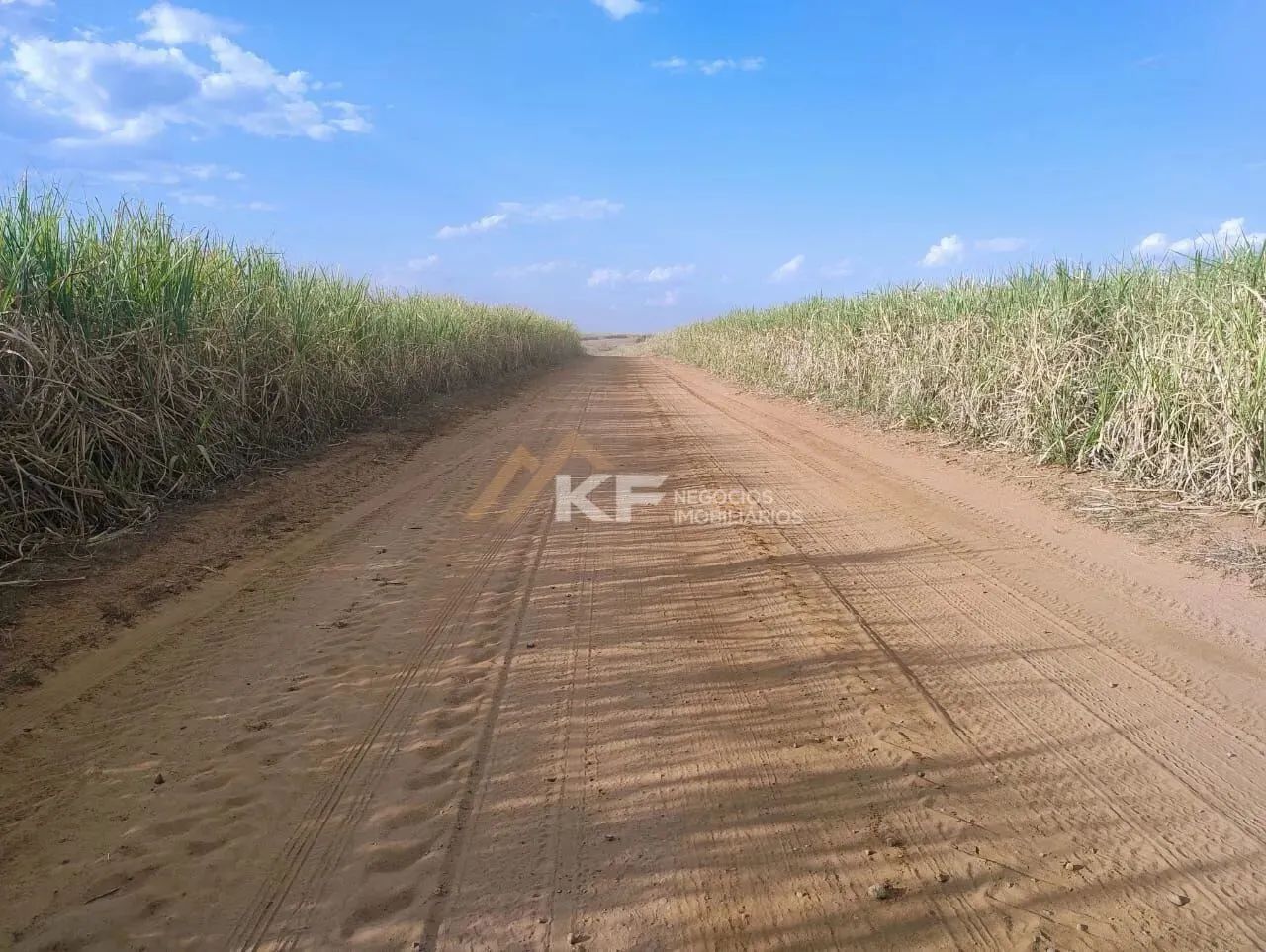 Fazenda a Venda em Mococa- SP - Foto 3