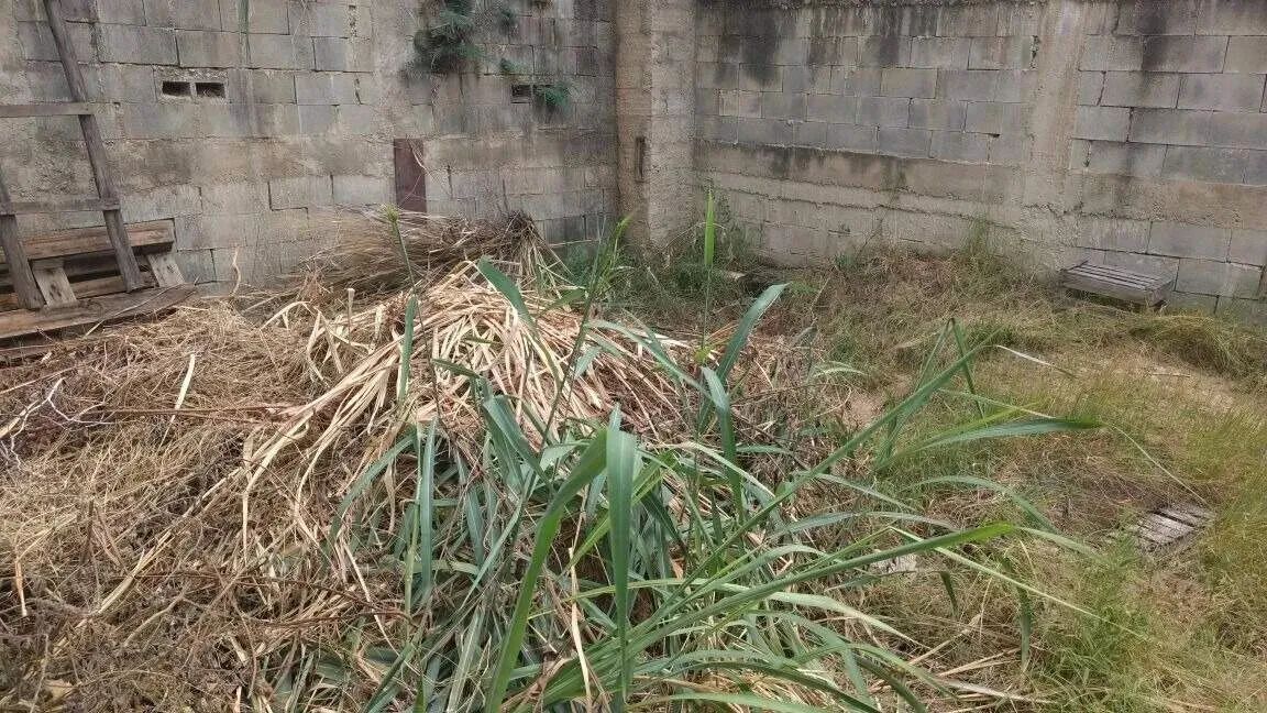 Lote - Terreno à venda, Cachoeirinha - Belo Horizonte/MG - Foto 12