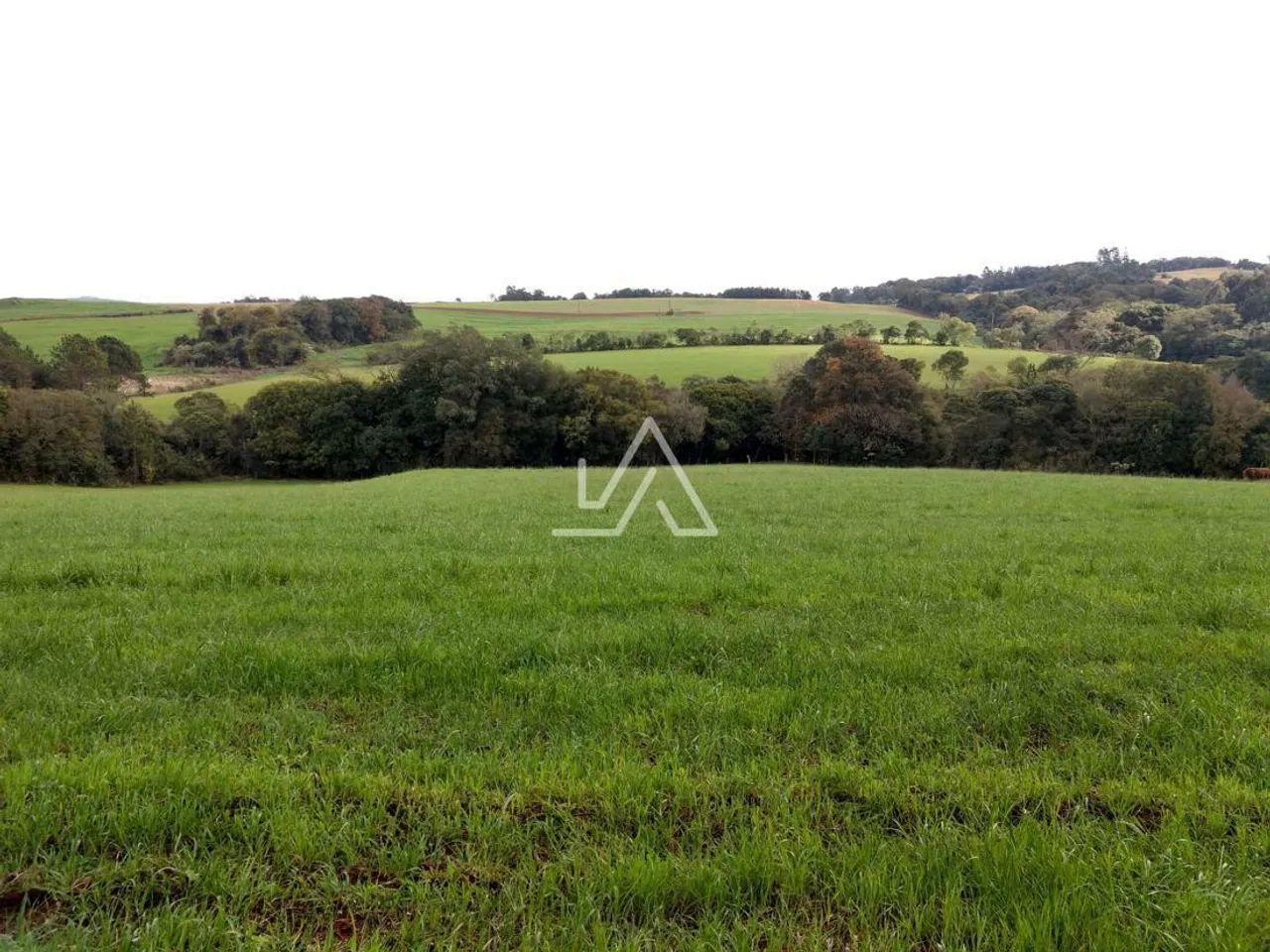 CHÁCARA PARA VENDA EM MATO CASTELHANO, COM AÇUDE, REDE ÁGUA E LUZ E 15.000 M² POR R$ 198.0