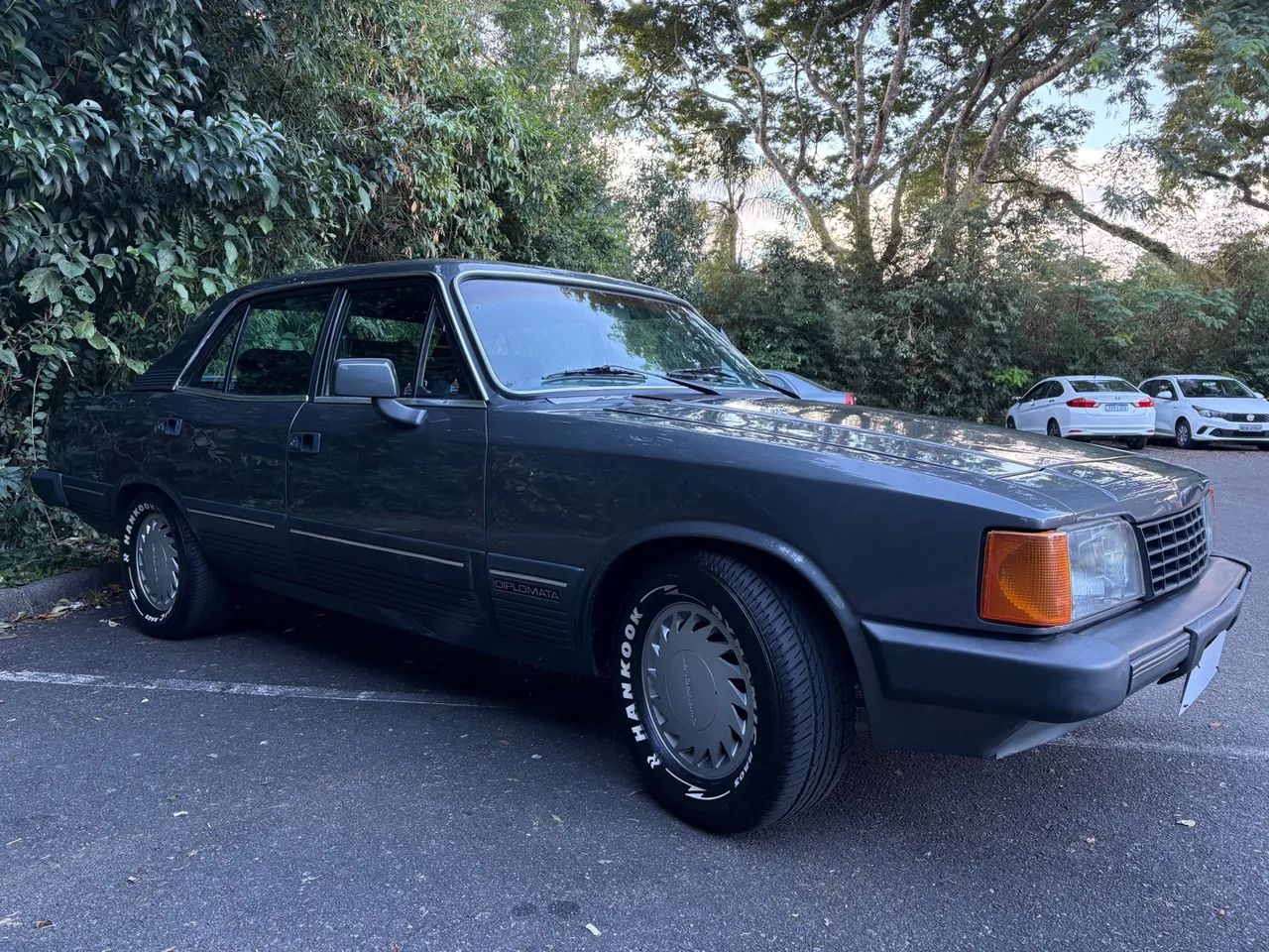 Opala Diplomata 4.1