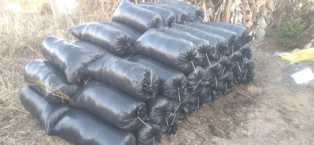 Silo de Milho Inteiro.