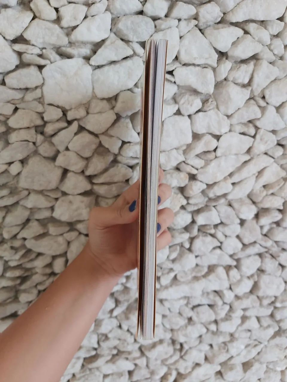 O Menino Ruxo e o Bruxo - Moacyr Scliar - Foto 2