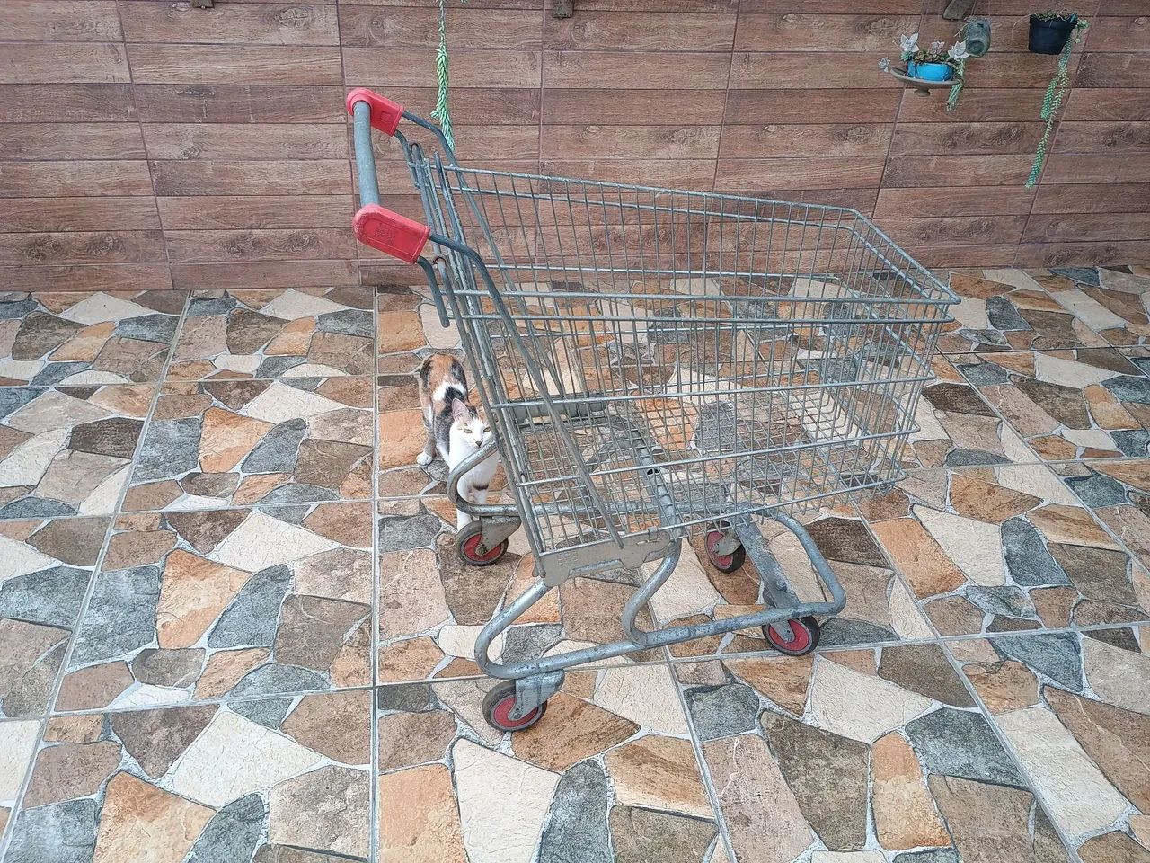 Carrinho de Compras Grande - Foto 4