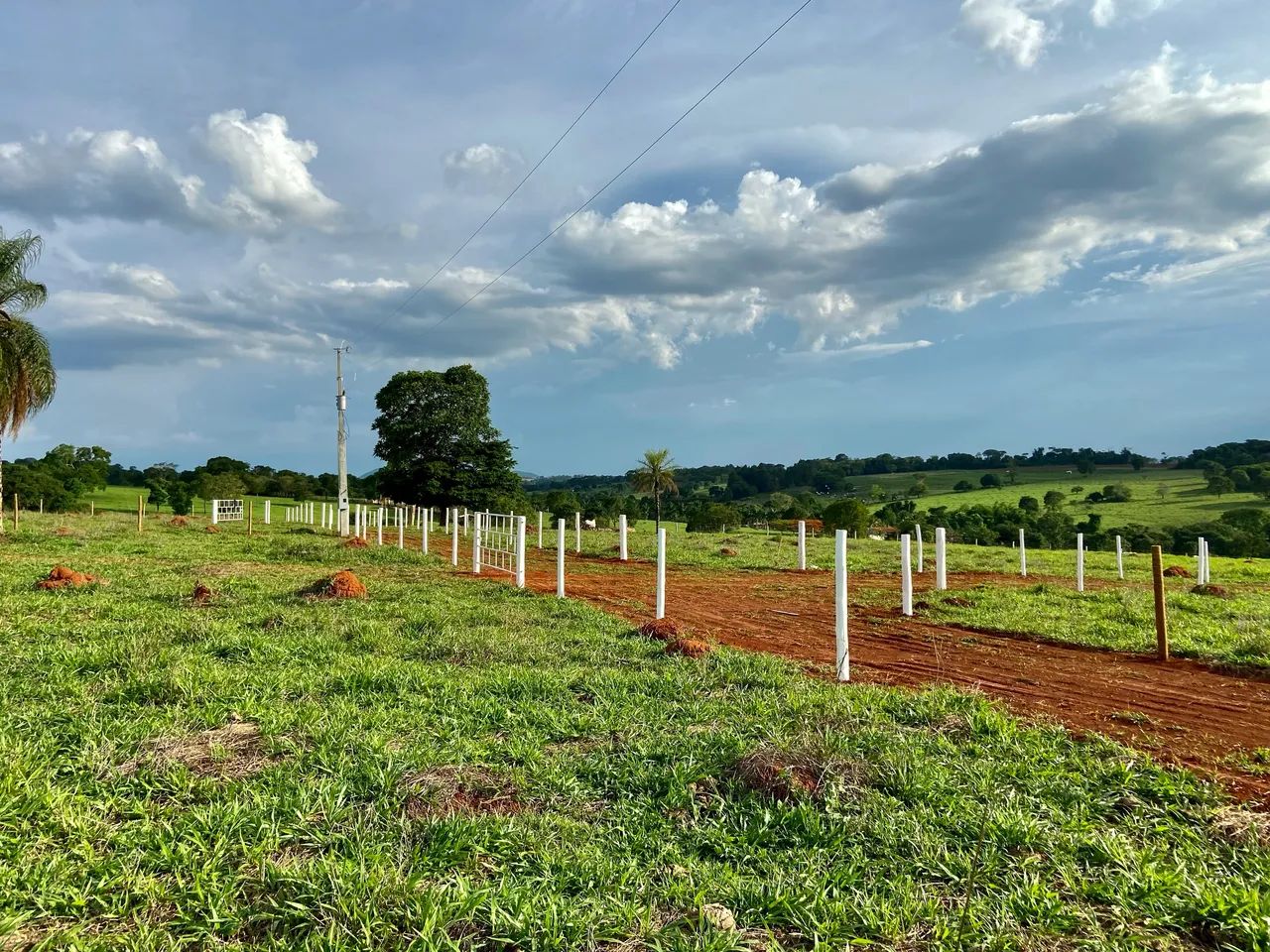 Chácara de quase meio alqueire em Petrolina de Goiás  - Foto 4