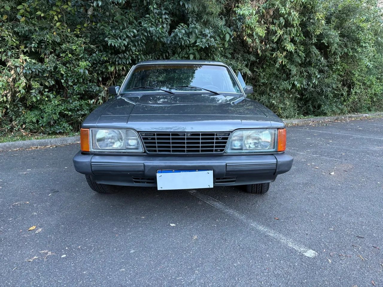 Opala Diplomata 4.1 - Foto 2