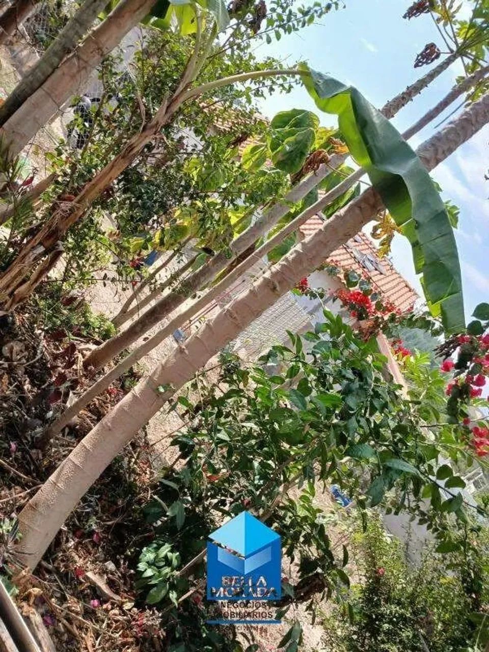 Chácara em condomínio -R$ 250 mil Pires de Cima - Foto 3