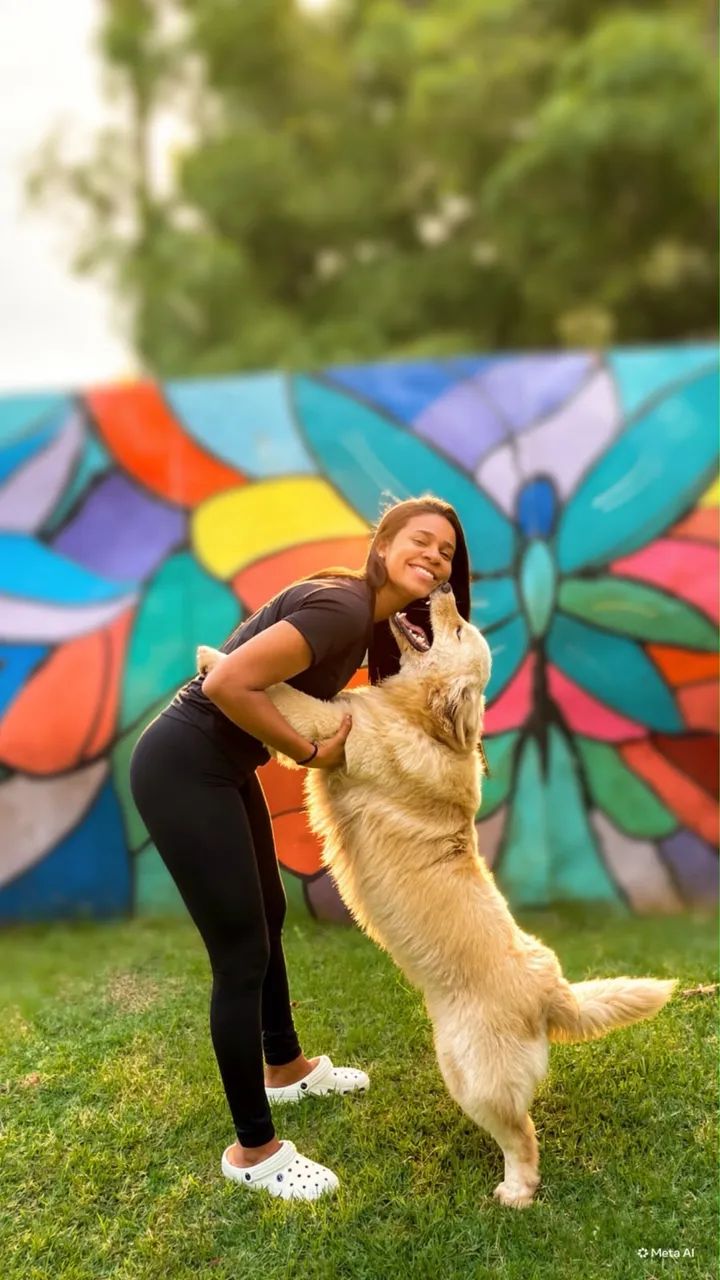 Pet sister | taxi dog  - Foto 4