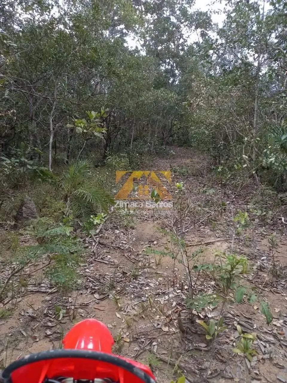 Fazenda , 142 alqueires - Zona Rural - Santa Rita/TO - Foto 11