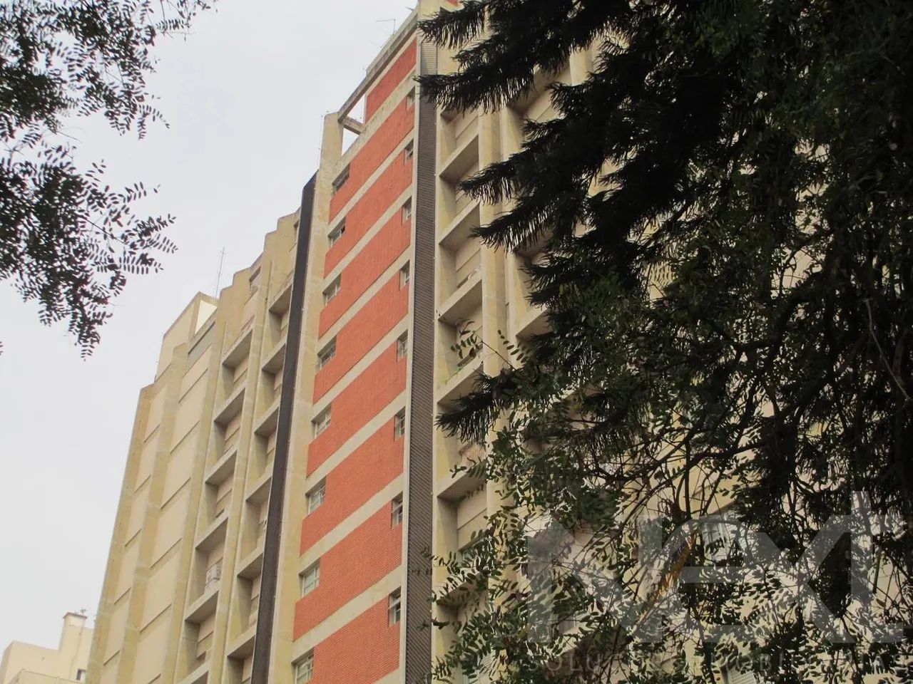 apartamento - Centro - Campinas