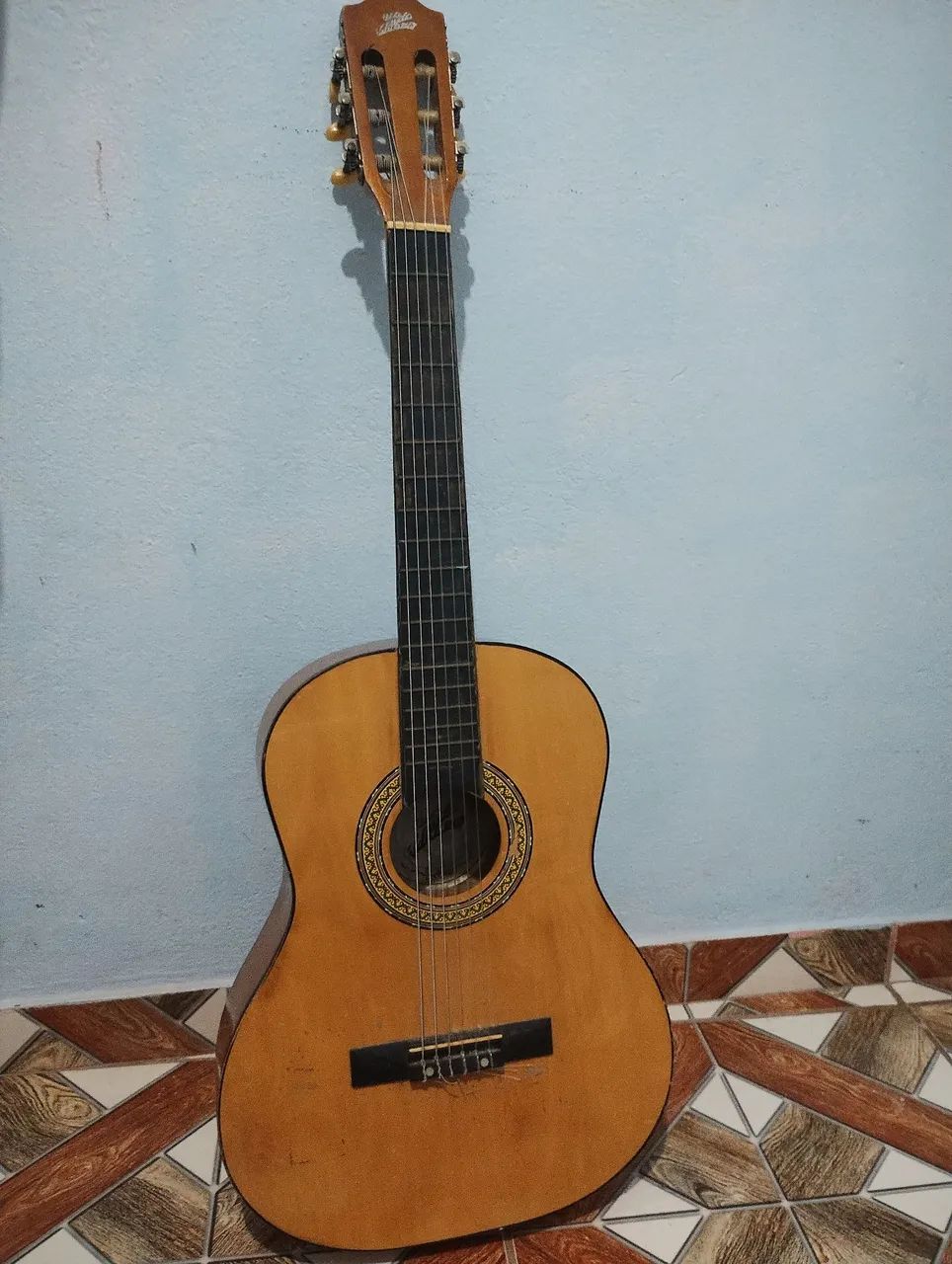 Violão zebra music