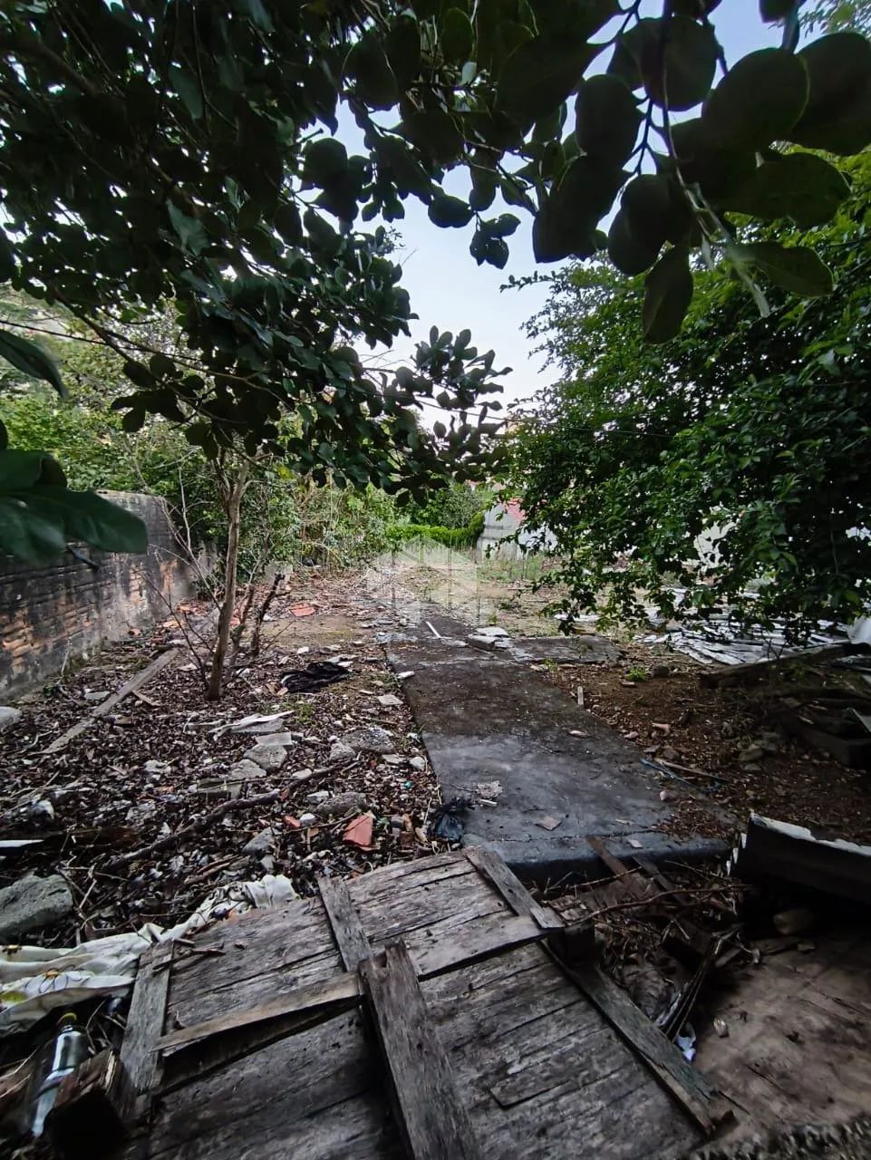 Terreno à Venda no Bairro Canto - Florianópolis/SC - Foto 4