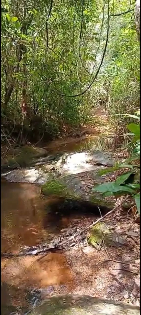 Foto - Brasília - Recanto das Emas