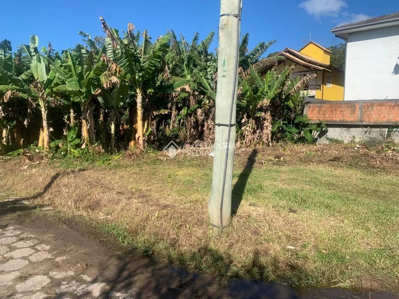 Terreno na Joaquina - Foto 2