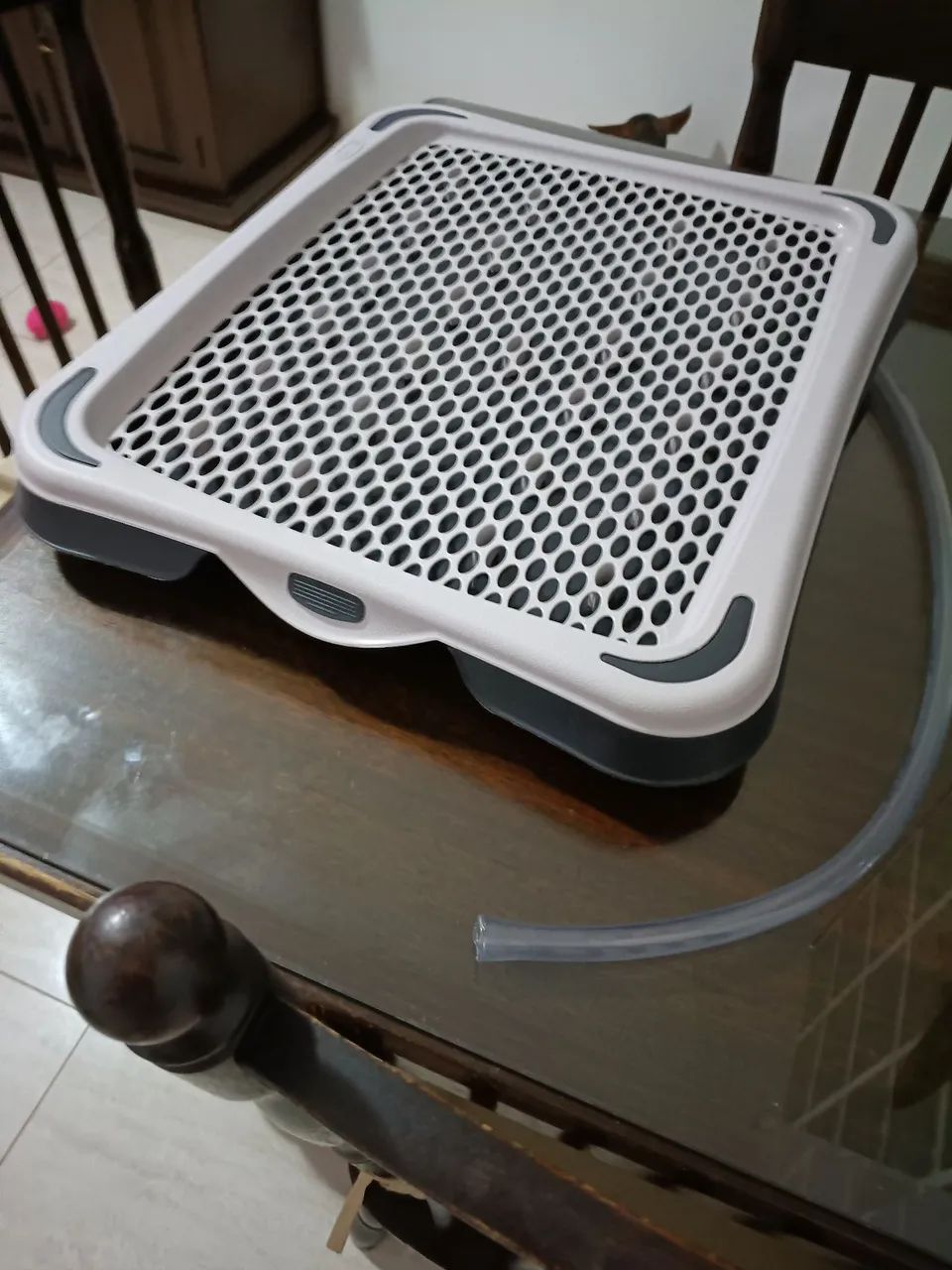 Banheiro Pet 