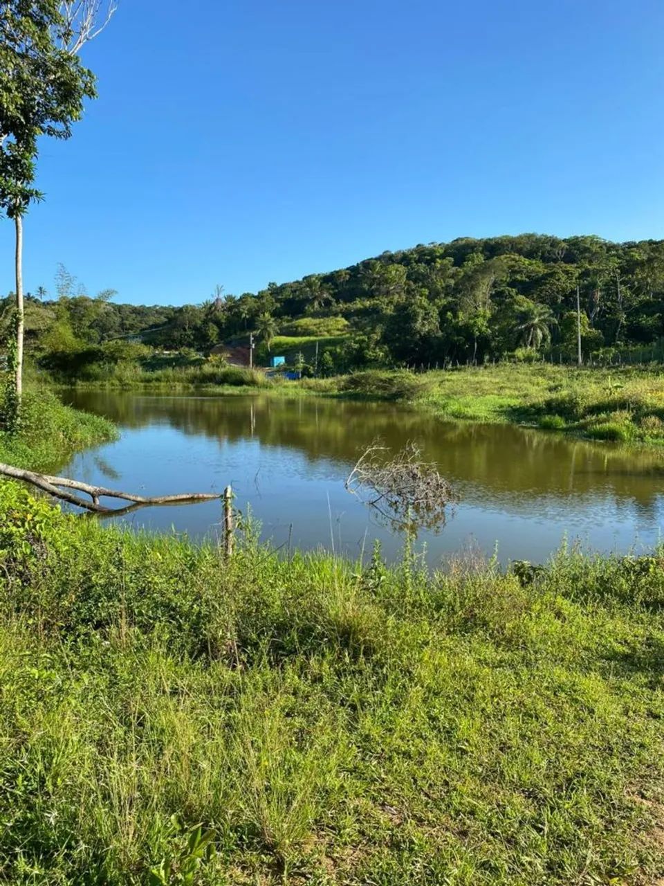 Granja  - Foto 3