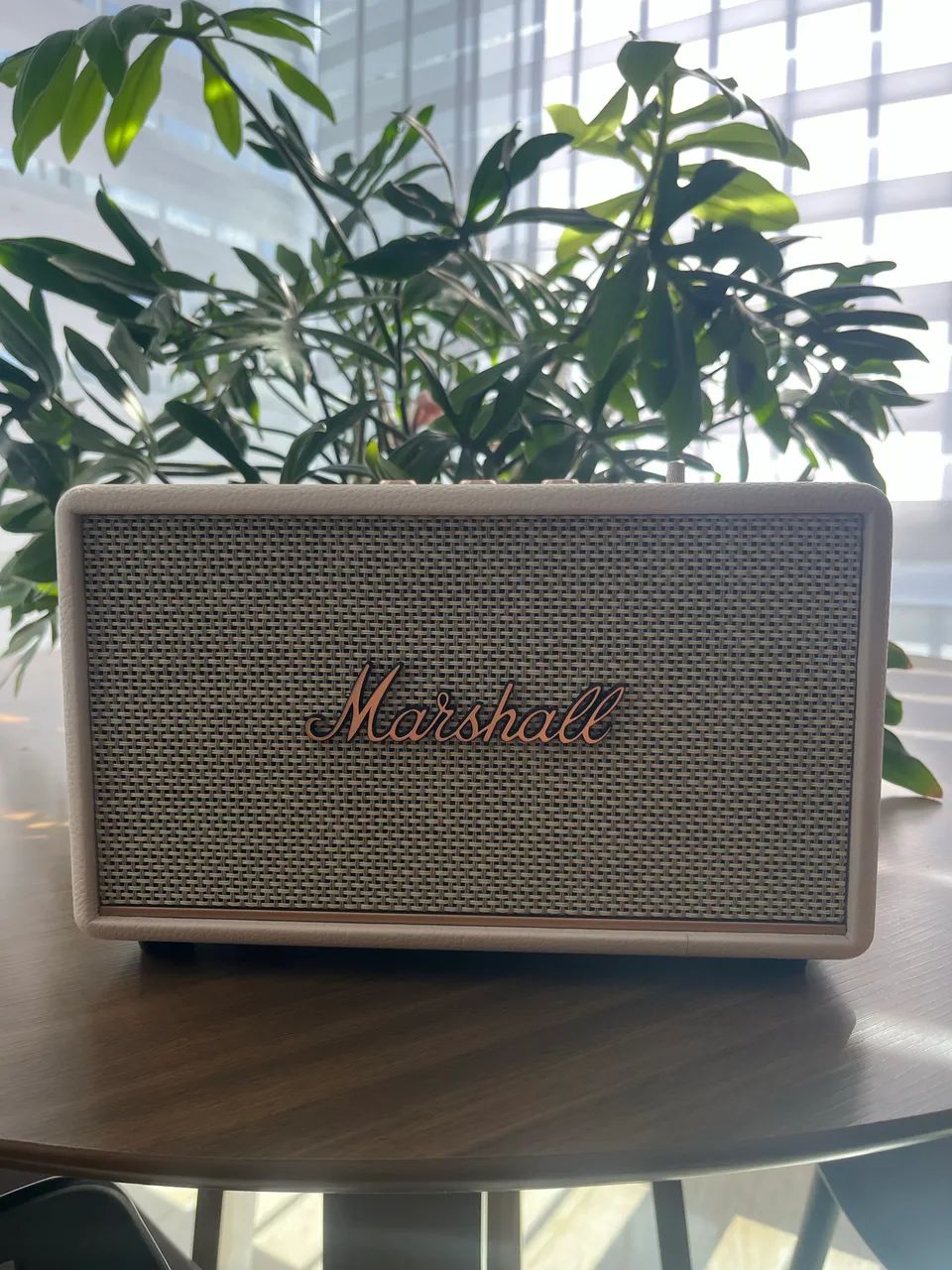 Marshall Acton III Importada 