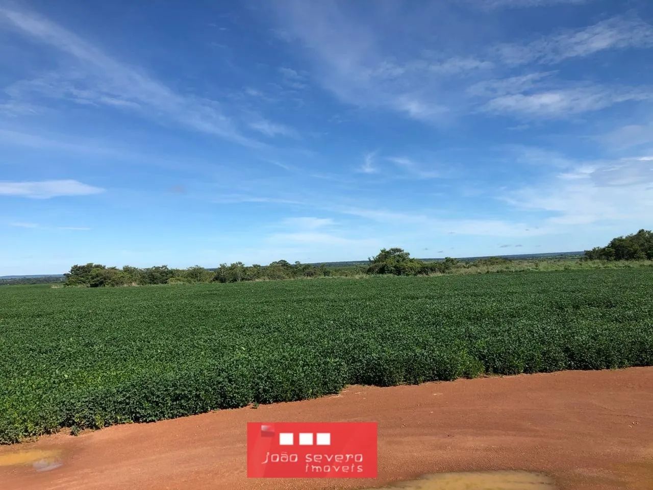 Fazenda para Venda em Britânia - Foto 5
