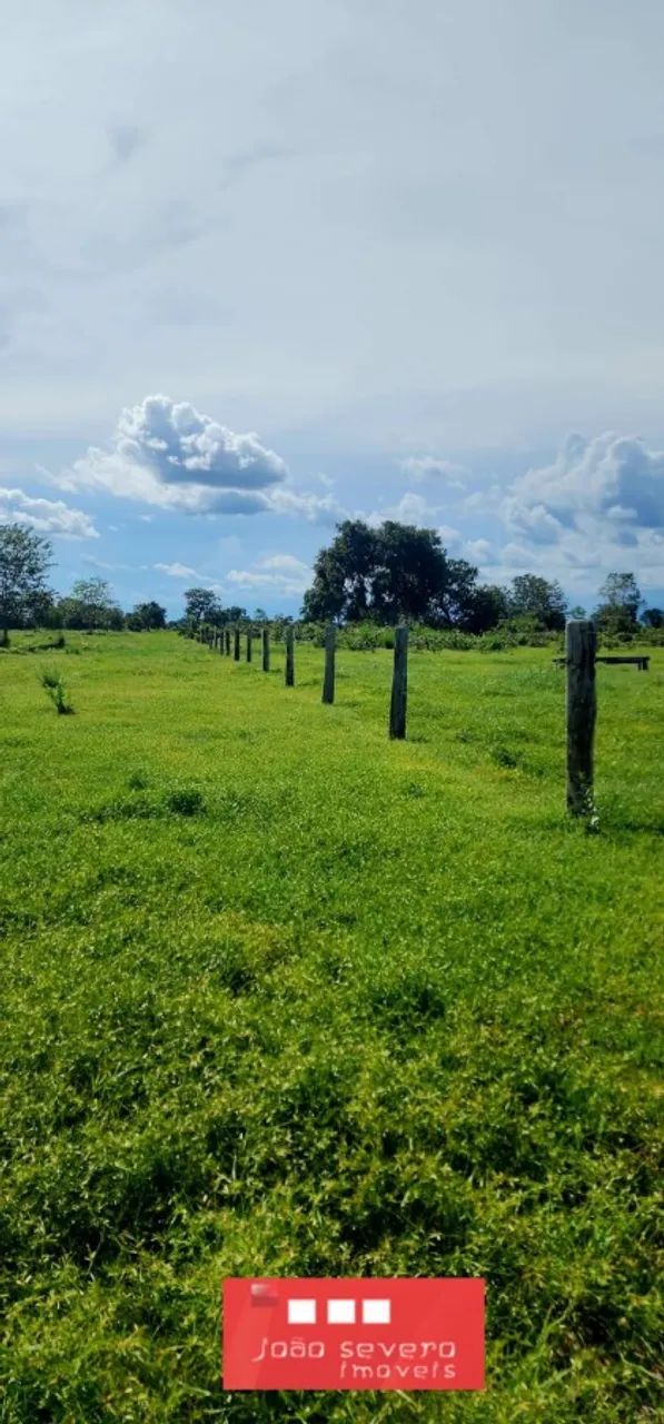 Fazenda para Venda em Luciara - Foto 4