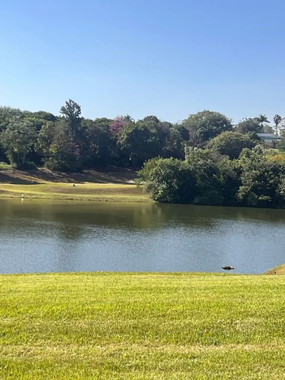Terreno no Condominio Alphaville em Maringá - Foto 3