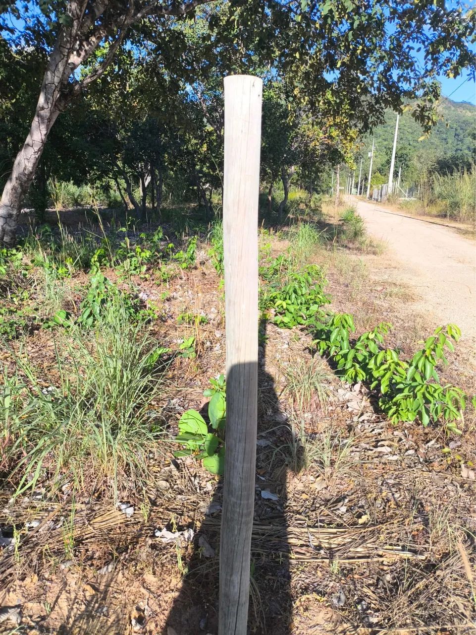 Chácara em condomínio familiar  - Foto 6