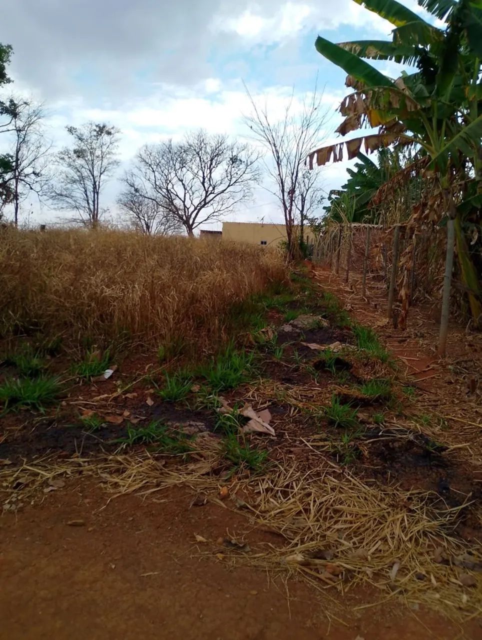Vendo lote de chácara Guapó  - Foto 3