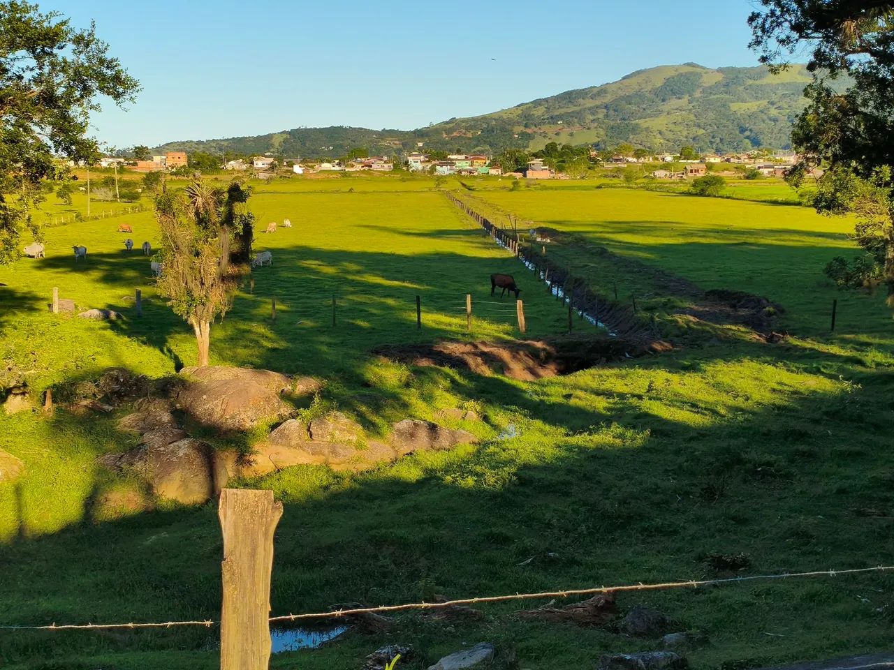 Foto - Paulo Lopes - 