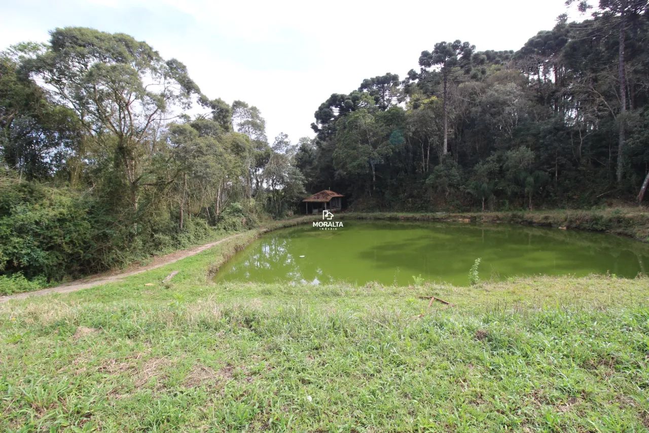 Chácara com 21.000m² na Murici - Foto 3