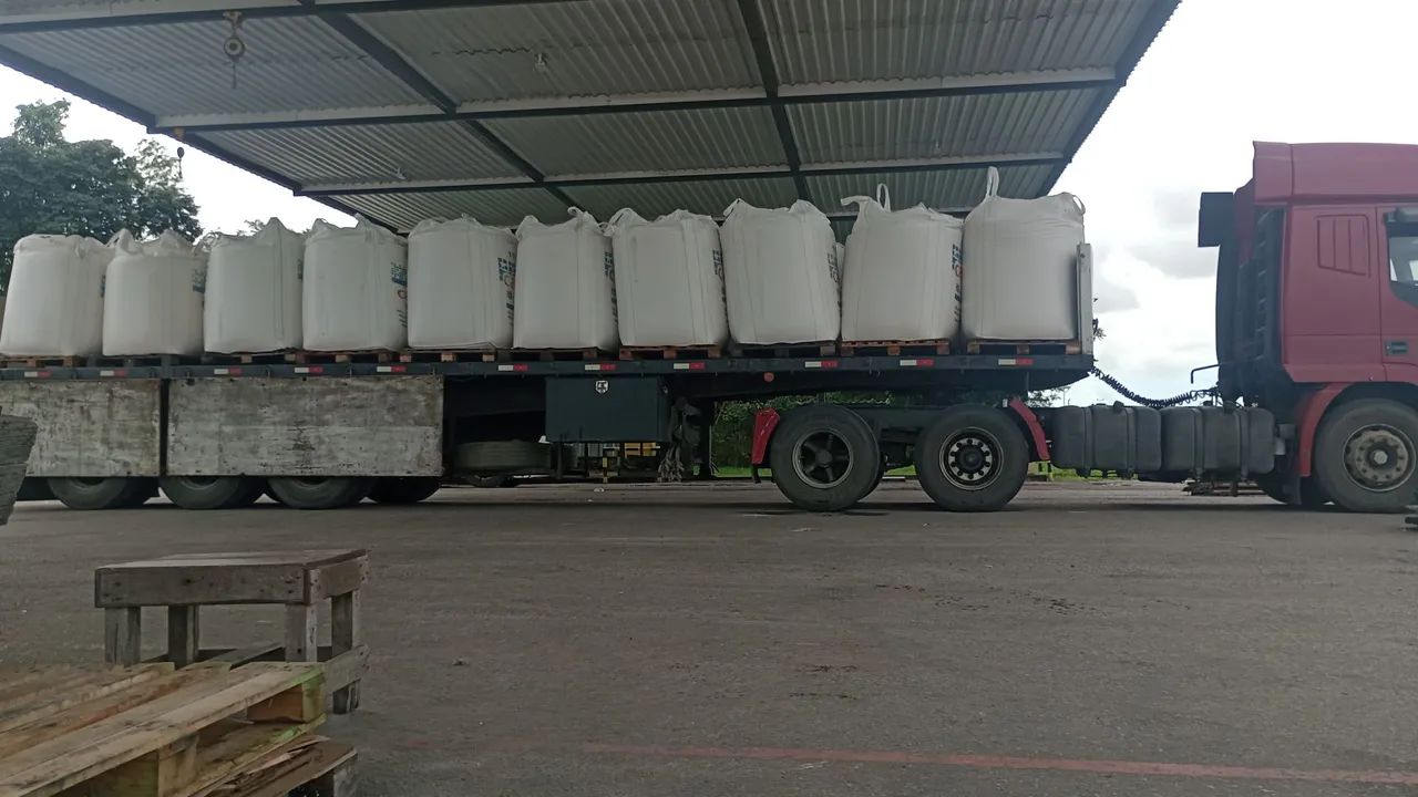 Vende conjunto cavalo e carreta trabalhando  - Foto 2