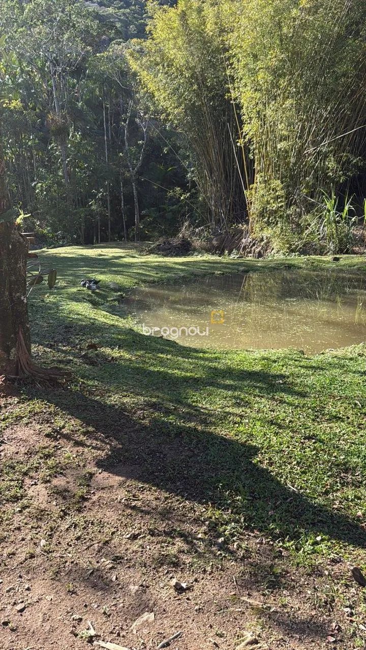 Sítio à venda no Sertão do Ribeirão com 11.703m² - Foto 3