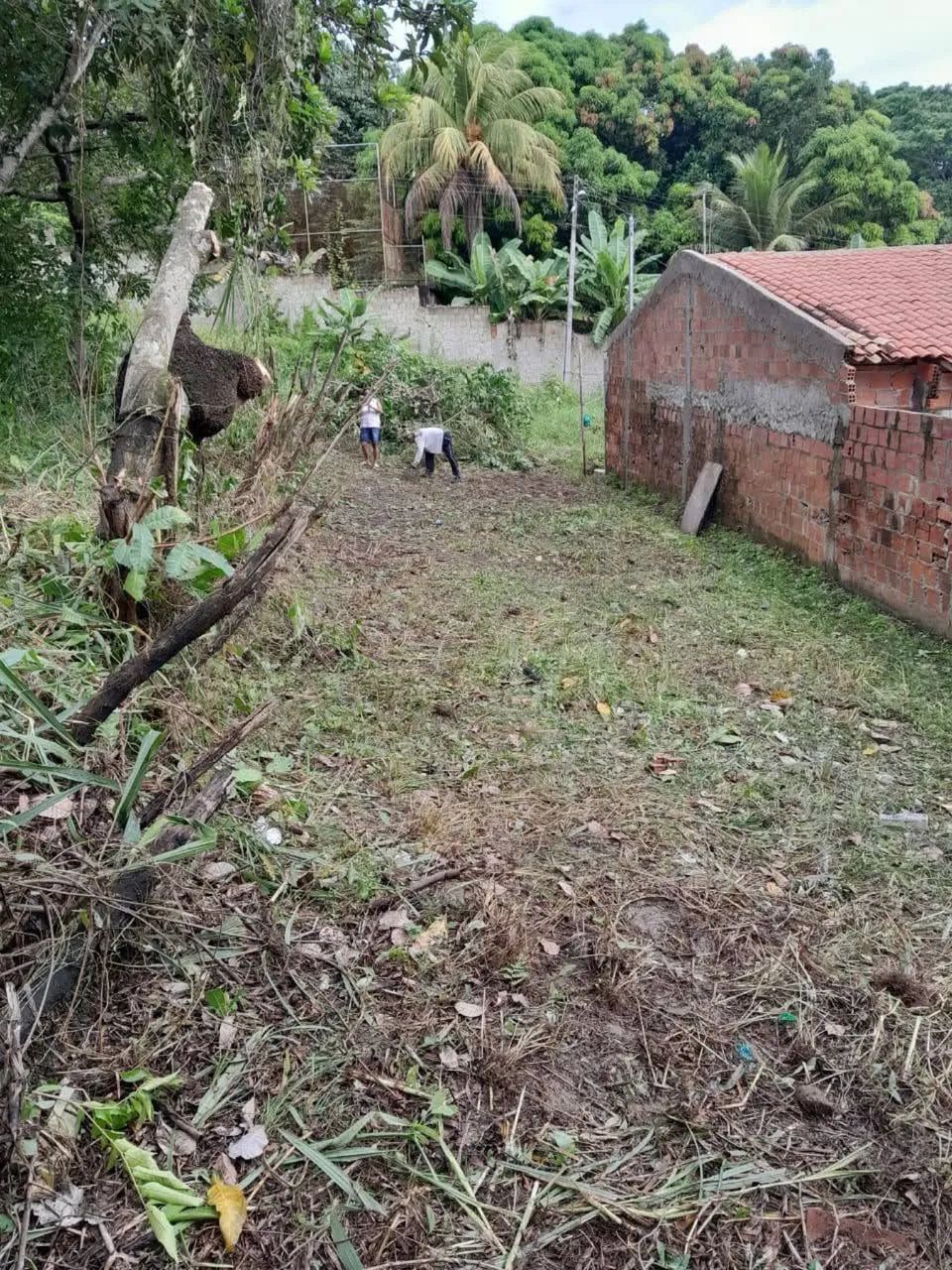 Vendo terreno no conjunto Luís Alves 2 - Foto 2