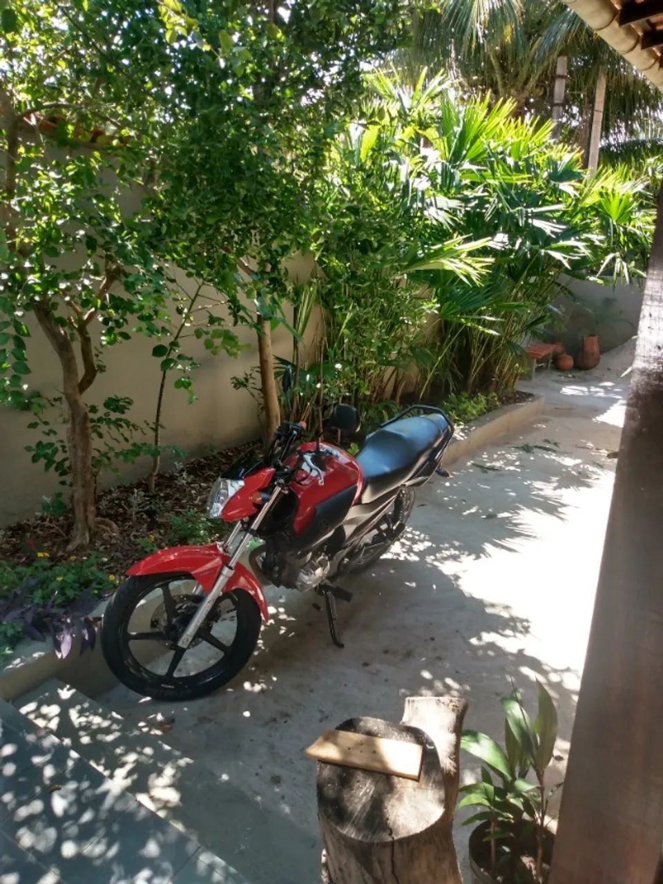 Vendo factor Ed/150 no precinho  - Foto 2