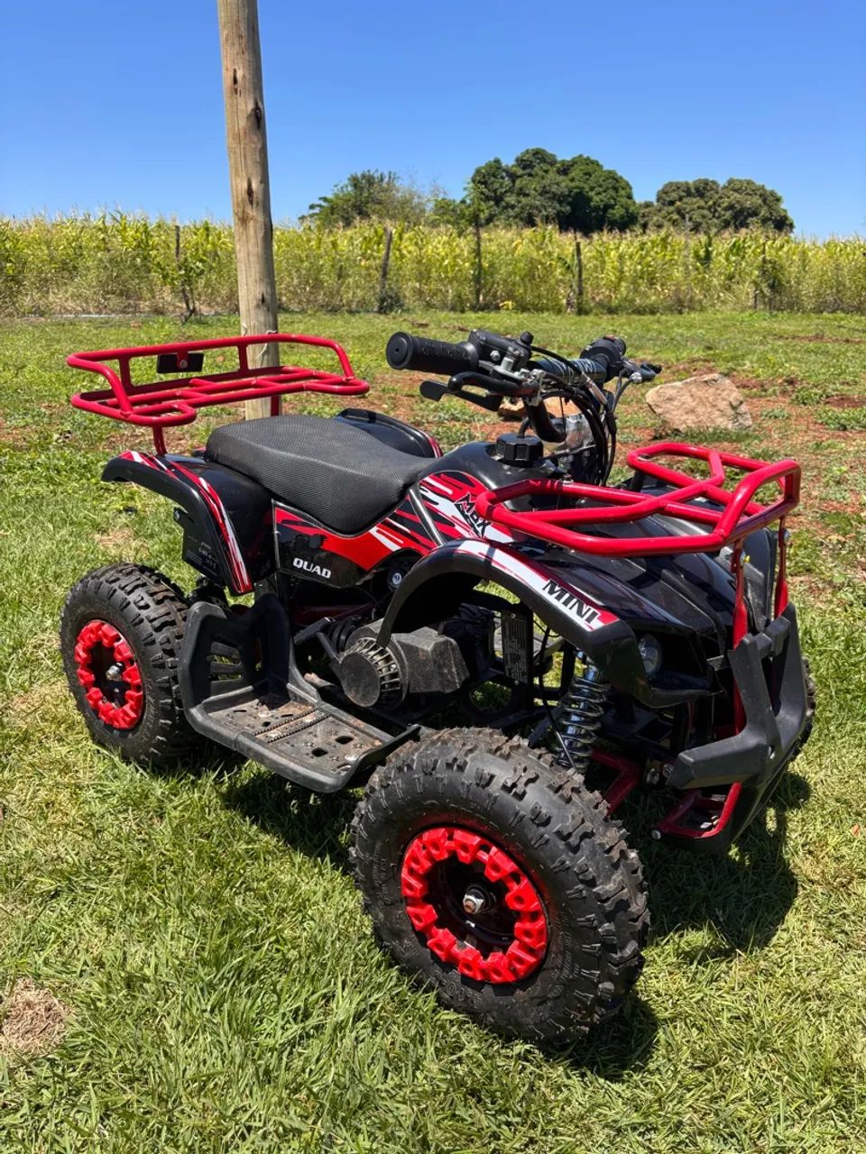 Mini quadriciclo 50cc - Foto 4