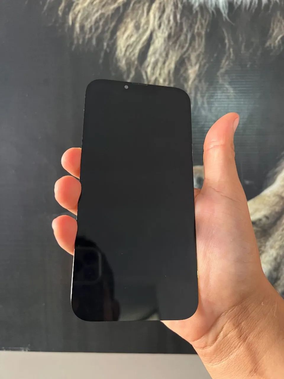 Tela iPhone 13 pro Max original 
