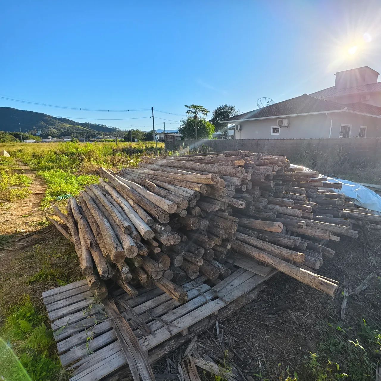Escoras de madeira  para construção (avalio proposta) - Foto 4