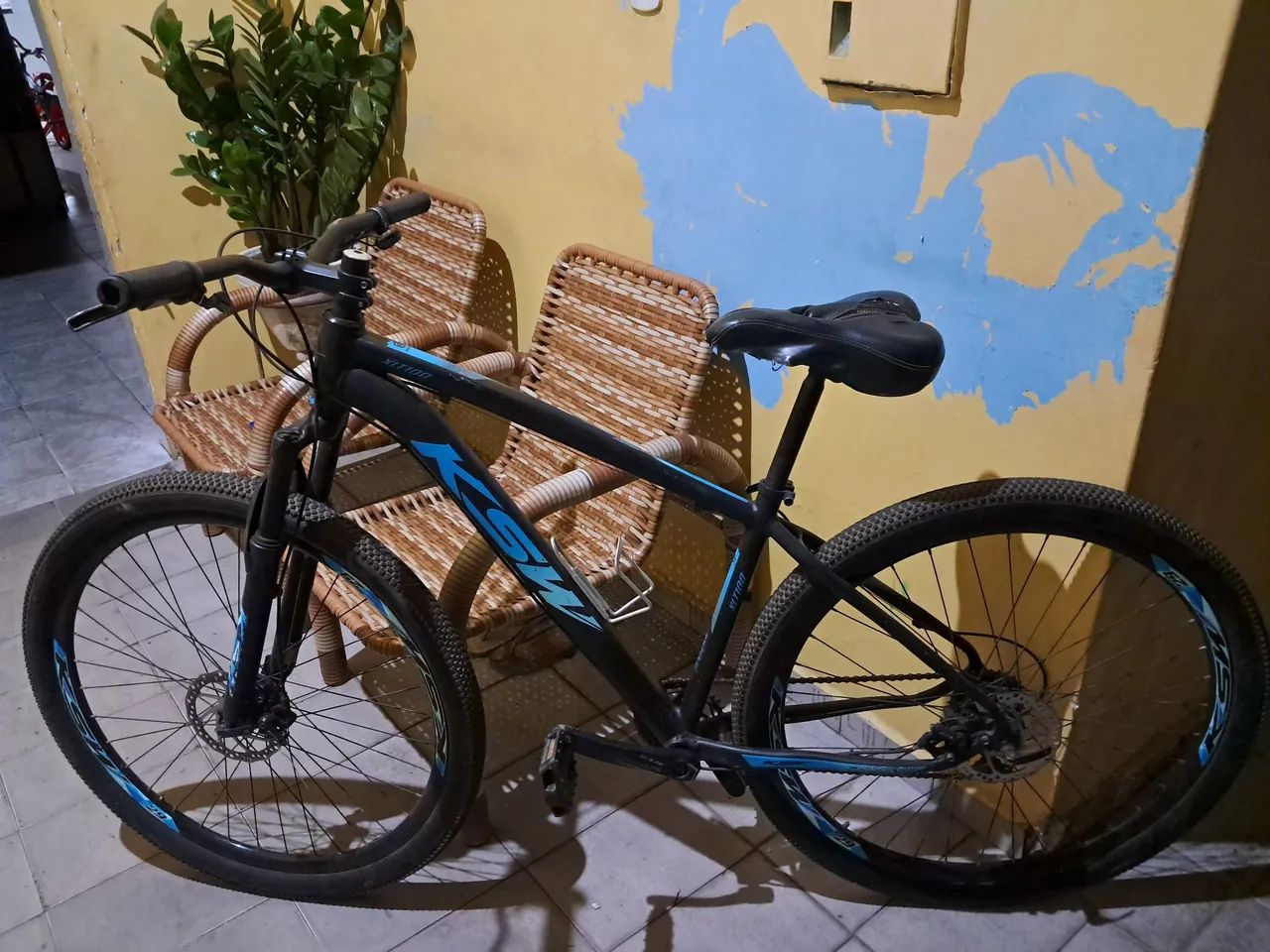 Bicicleta 