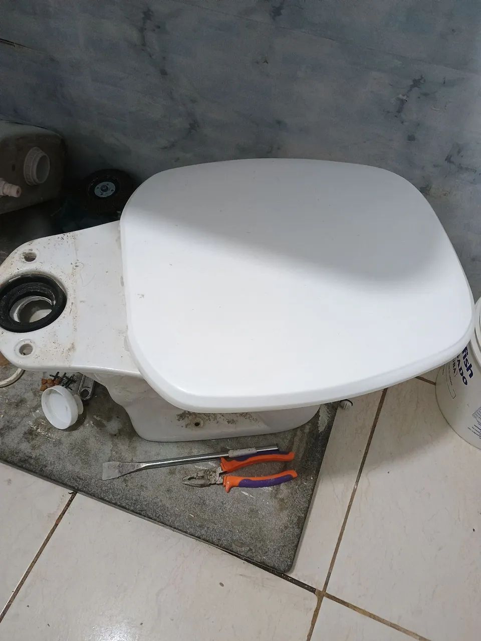 Toilet Bowl