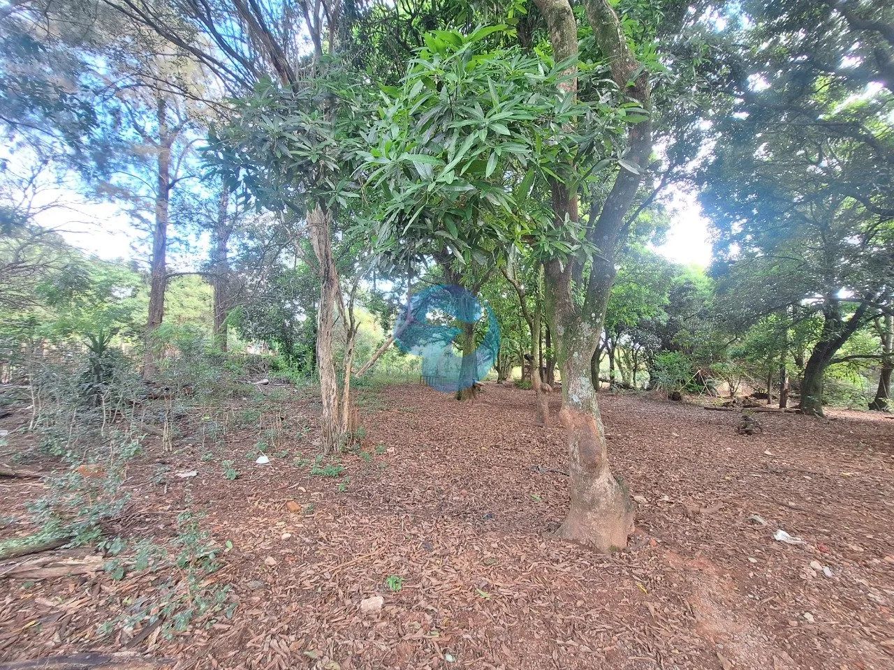 Área à venda em Sorocaba, no Bairro Ipatinga - Foto 4