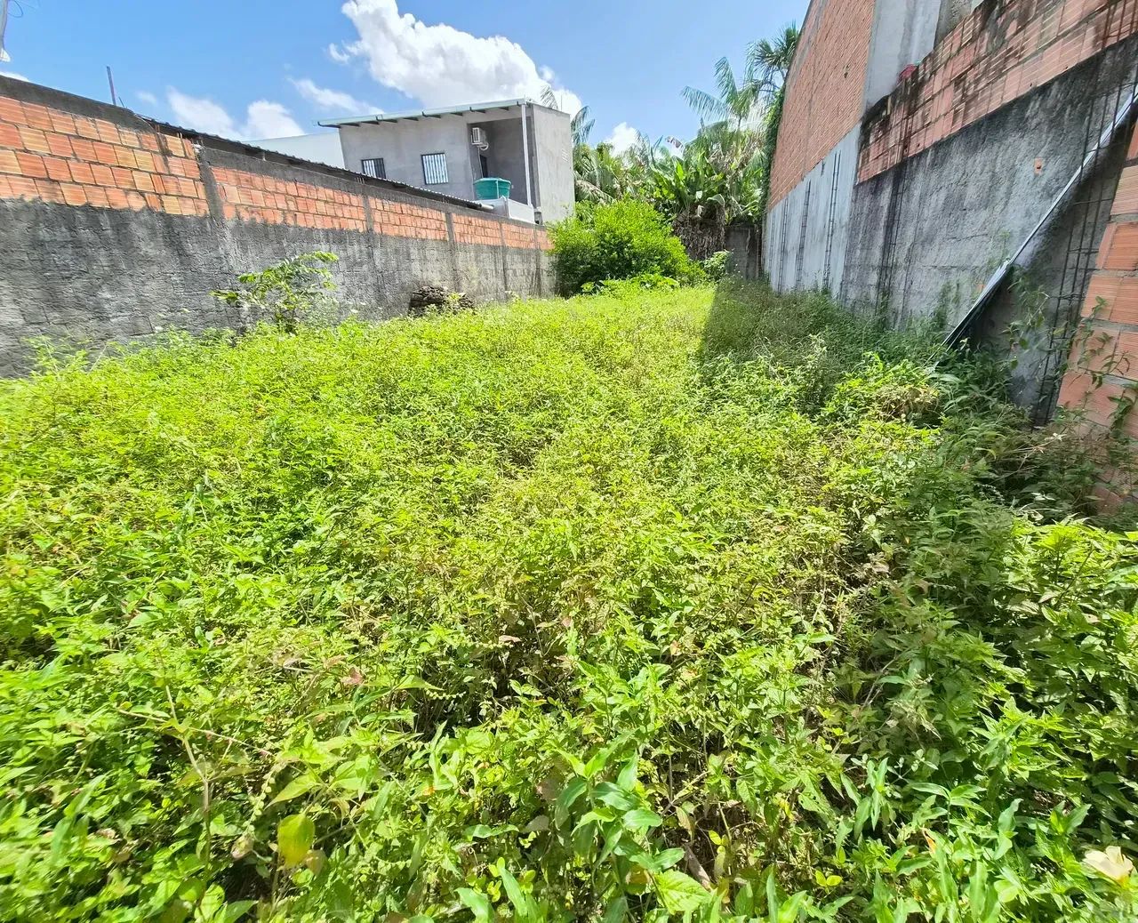 NOVO ALEIXO, Terreno