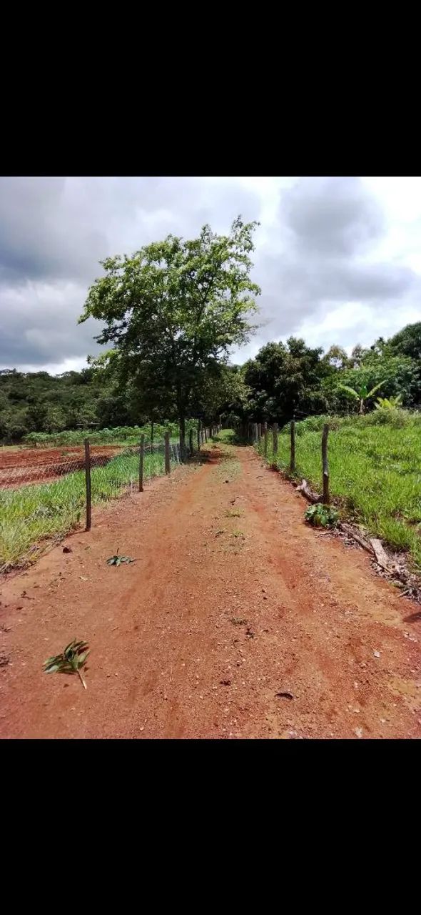 Vendo Chácara São Sebastião DF - Foto 5