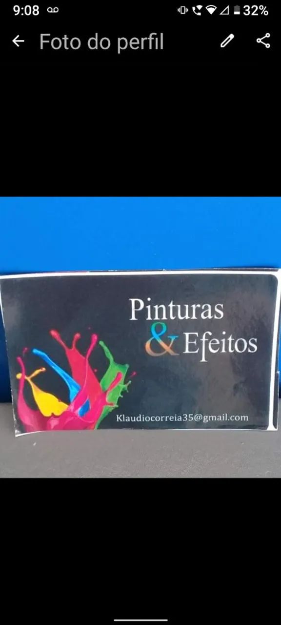Pintor profissional 