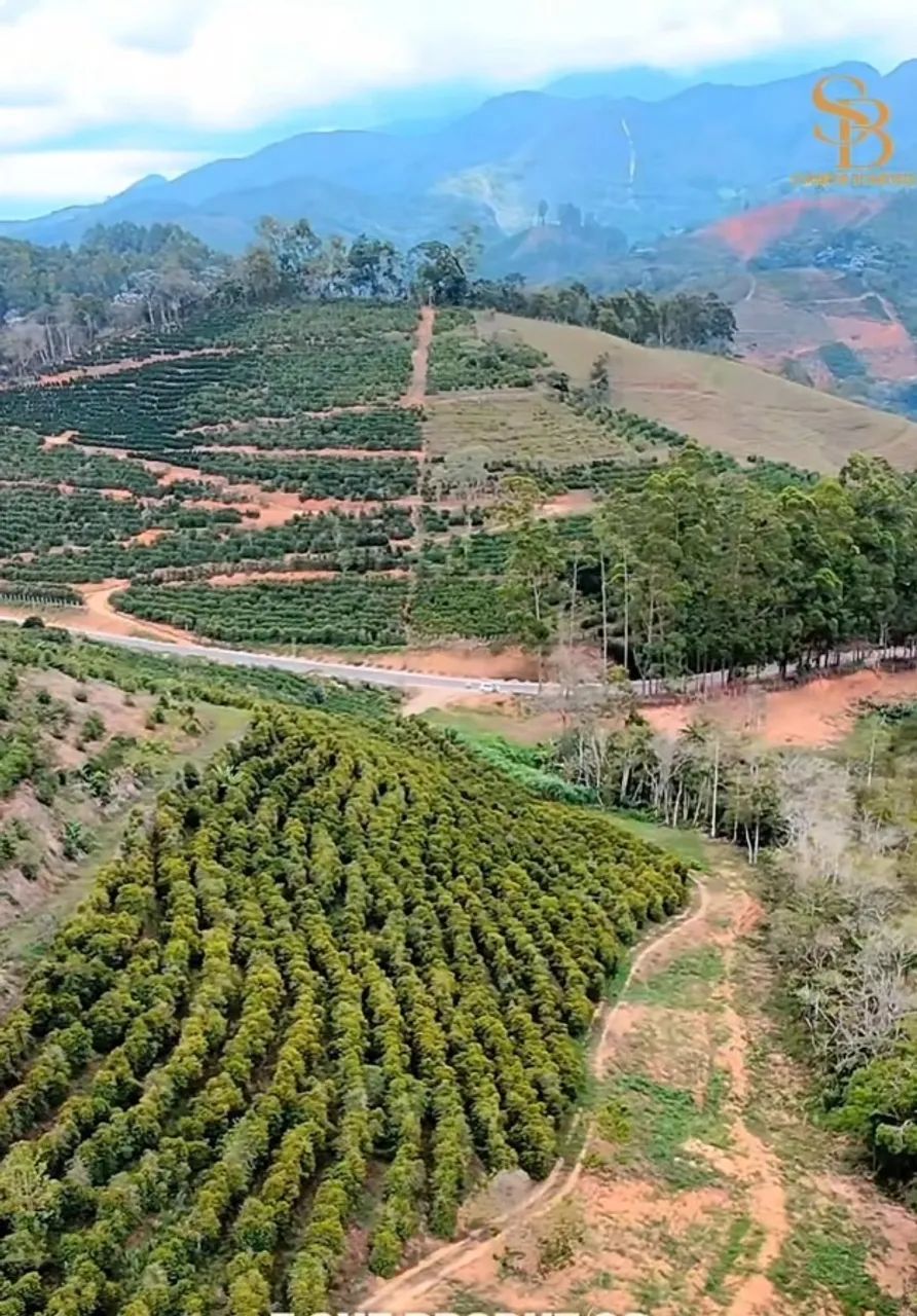 Sitio Caparao, 18,5 hectares - Foto 2