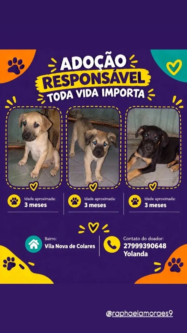 Adoção Responsável 