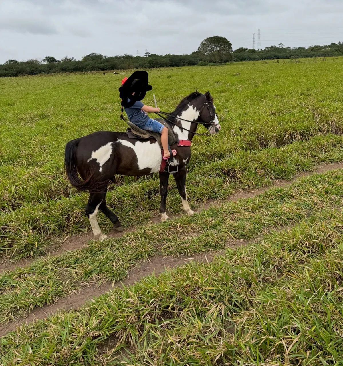 Cavalo de direita - Foto 3
