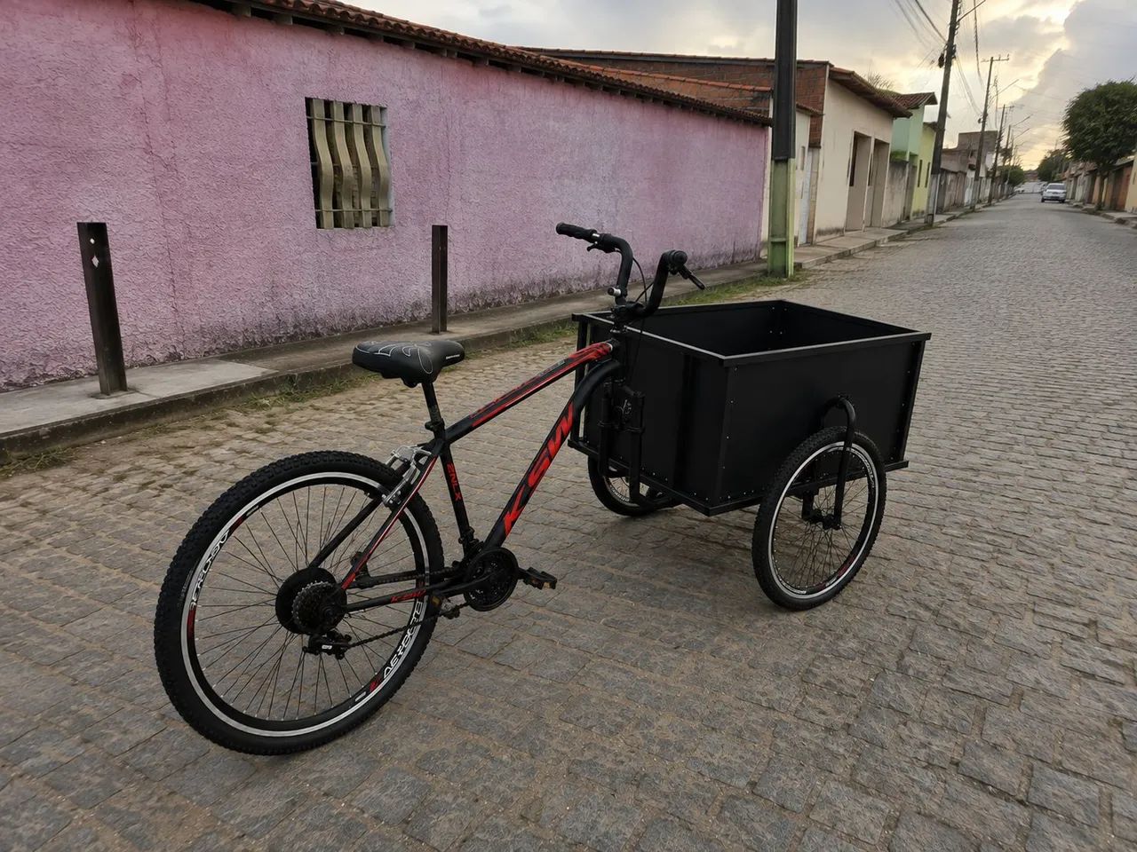 Bicicleta Cargo Triciclo  - Foto 2
