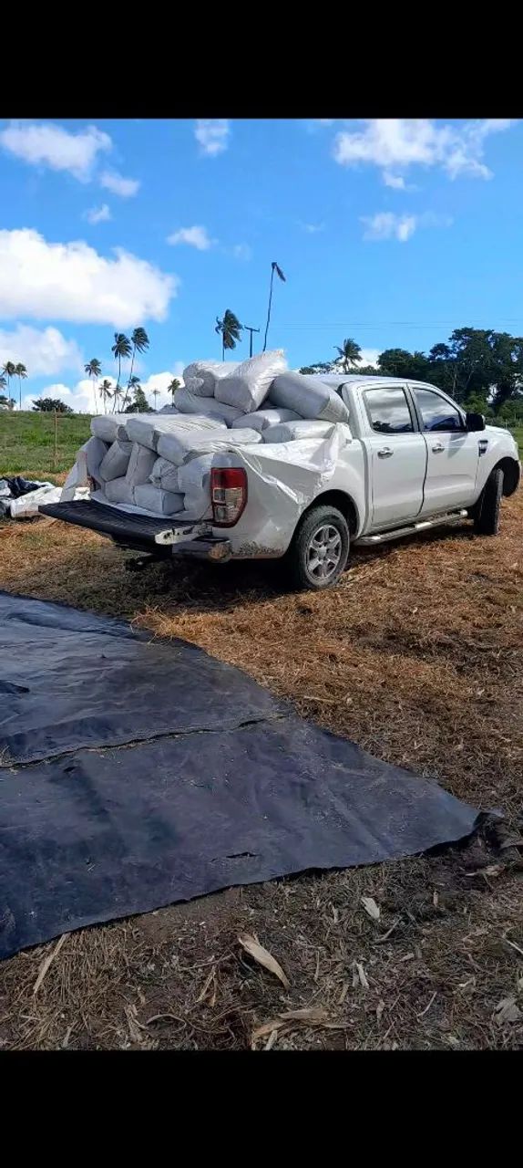 A SECA CHEGOU COMPRE SEU SILO DE CAPIM AGORA MESMO