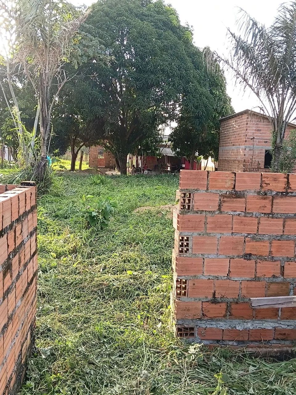 Vendo um terreno no abade proximo o Curuçá - Foto 4