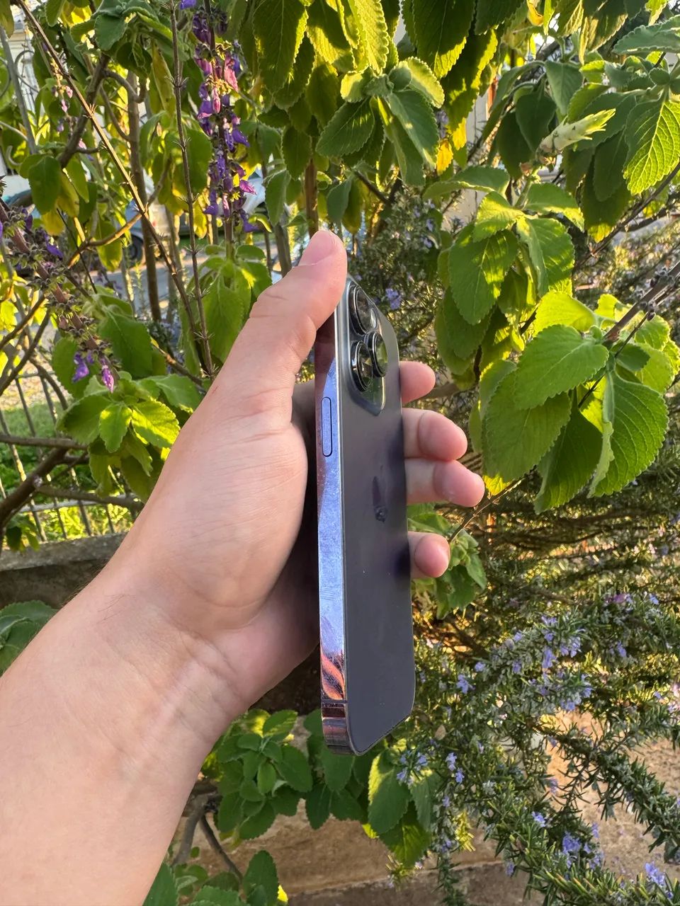 iPhone 14 Pro 256gb ROXO