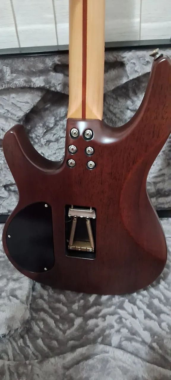 Guitarra Zaganin  - Foto 4