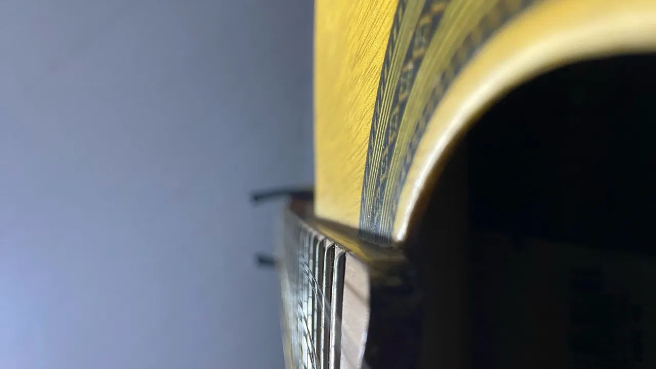 Viola caipira Giannini raiz  - Foto 3