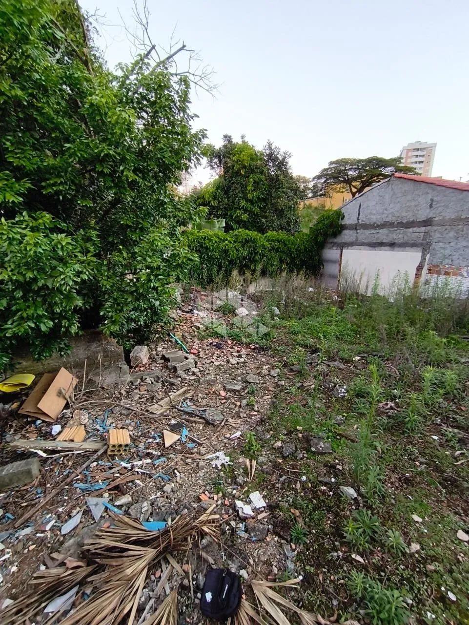 Terreno à Venda no Bairro Canto - Florianópolis/SC - Foto 3